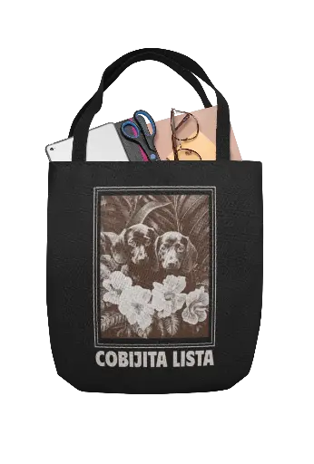 Cobijita Lista Women's Handbag Set